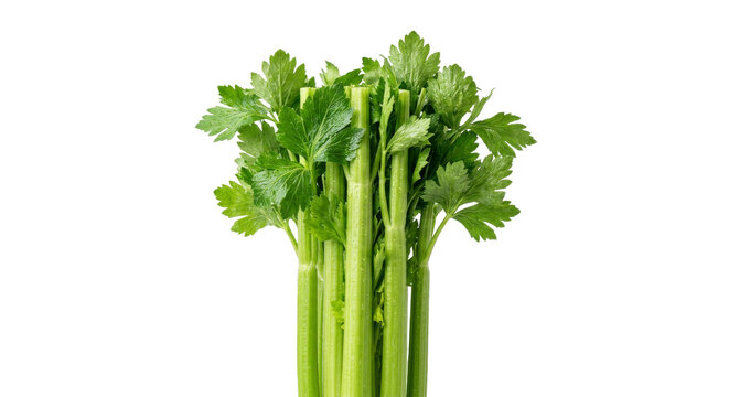 Fresh green celery stalks with vibrant leaves on a clean white background