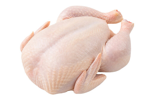 A whole, raw, uncooked chicken ready for preparation and cooking