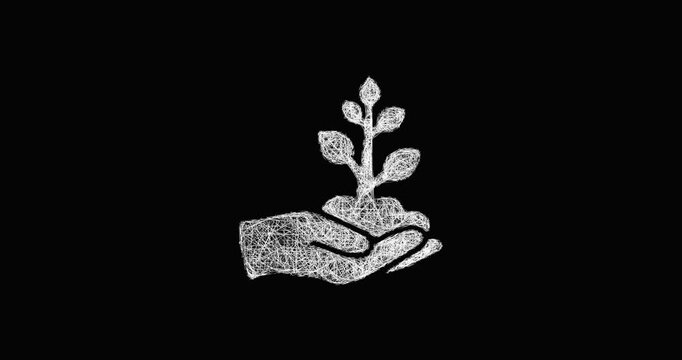 Sketch reforestation icon animation - smooth progressive reveal
