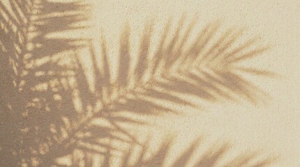 Soft Palm Fronds Light Shadow Artwork. © mamun