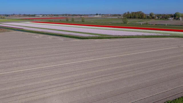 Aerial view of plowed field with parallel soil rows, colorful flower fields in red, white, pink, purple bands, rural farmland, trees, and distant village under clear daylight conditions