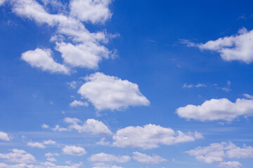Fototapeta premium White fluffy clouds float in the blue sky.