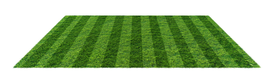 Green soccer field isolated on transparent background with striped lawn texture