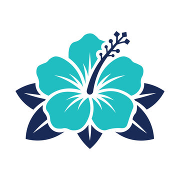 Cyan hibiscus flower vector icon isolated on white background design