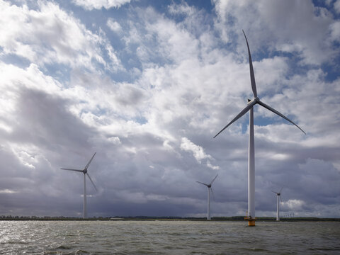 Wind Farm in the IJsselmeer Producing Green Power