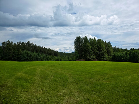 germany, sweeping meadow and forest edge panorama under crystal clear skies in black forest countryside