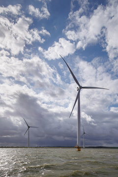 Wind Farm in the IJsselmeer Producing Green Power