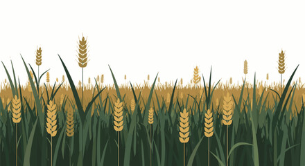 Obraz premium A border of green grass and golden wheat stalks against a white background, with a soft, hazy field
