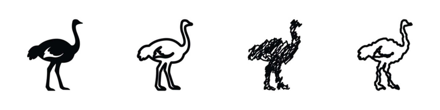Collection of four stylized ostrich icons in black and white on a white background