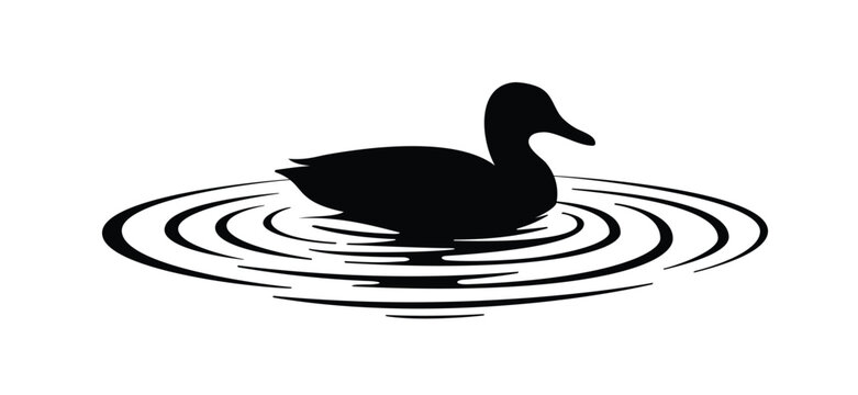 A stylized black duck floating peacefully, surrounded by soft, oval ripples in the water. A duck is a waterbird with a flat beak and broad webbed feet. Waterbirds, wild duck swims in the water,