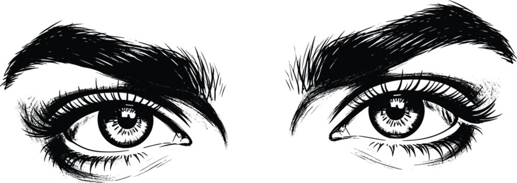 Beautiful woman eyes with thick eyebrows and long eyelashes hand drawn sketch illustration fashion look salon makeup beauty isolated on white background vector
