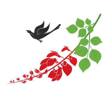 Sinhala and Tamil New Year Vector Design, Realistic Koha Bird with Erabadu Flowers, Sinhala Aluth Avurudu Design