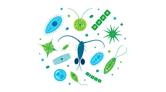 Illustration of microscopic cells and bacteria.