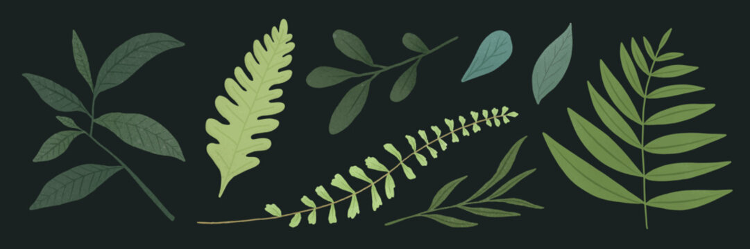 Vector illustration of various green leaves on a dark background.