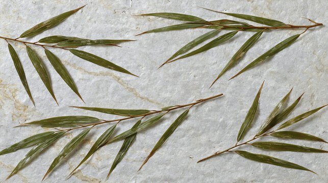 Loose long leaf sweeps pale cloud stone background green bamboo leaf branches arranged flatlay natural texture calming botanical still life