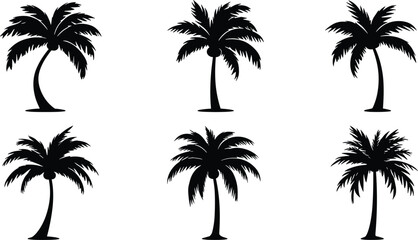 Tropical Palm Tree Silhouette Vector Set with Coconut Trees for Summer Beach Vacations, Exotic Island Travel Themes, and Coastal Nature Graphics © rumi