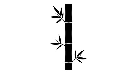 Fototapeta premium Bamboo, bamboo plant, black bamboo icon, vector bamboo, plant illustration isolated on White Background