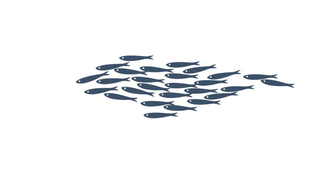 School of Small Blue Fish.