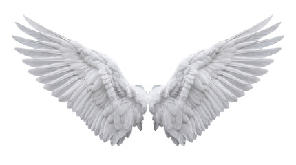 Fototapeta premium Wings with Feathers Spread Out in a Symmetrical Pattern, Depicted in a White and Grey Color Scheme, Symbolizing Freedom and Spirituality