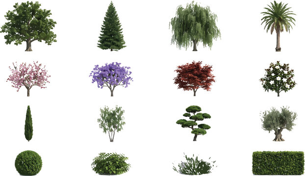 Collection of various garden trees and ornamental shrubs isolated on white background for landscape design projects and architectural visualization in a flat vector style
