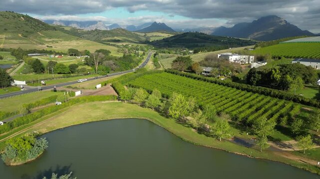 Stellenbosch, pull back over extensive vineyard, see cars on main road, and dramatic mountains in background