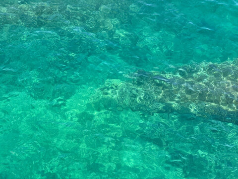Sea water clear emerald green surface.