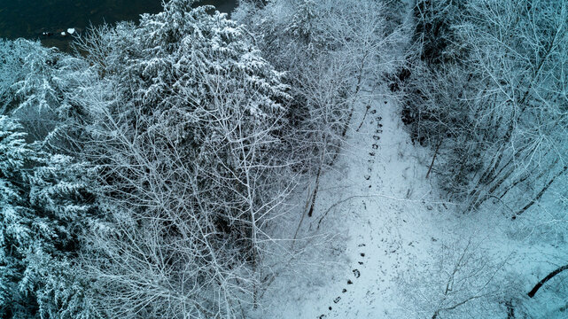 High-angle drone photograph capturing a clear flagstone rock path winding through a snowy forest, surrounded by frost-covered trees leading down to a dark, moody winter lake.