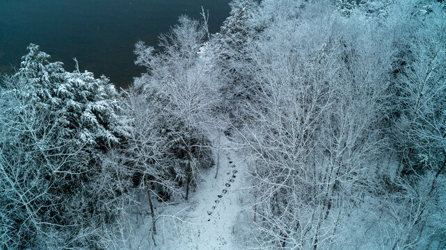 High-angle drone photograph capturing a clear flagstone rock path winding through a snowy forest, surrounded by frost-covered trees leading down to a dark, moody winter lake.