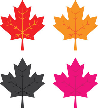 Best quality icon png eps jpg four vibrant canadian maple leaf illustrations for graphic design