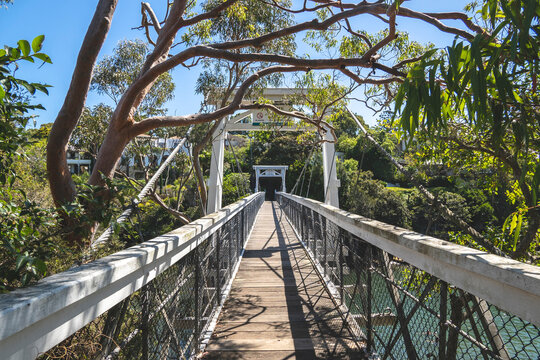 Parsley Bay Bridge. Sydney&rsquo;s 80km Bondi to Manly coastal walk.