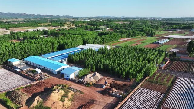 Aerial view of rural farm with blue-roofed buildings surrounded by farmland and forested areas