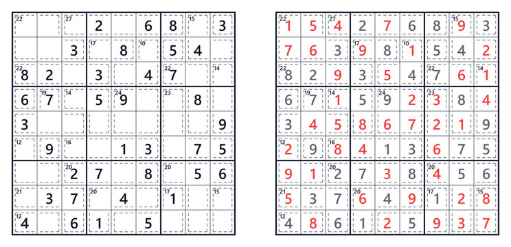 Hard Killer Sudoku with answers for worksheet