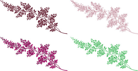 Delicate botanical fern leaves vector set, elegant nature-inspired foliage design elements, organic plant illustrations for decorative projects, floral graphic resources isolated on White © Syed Awais