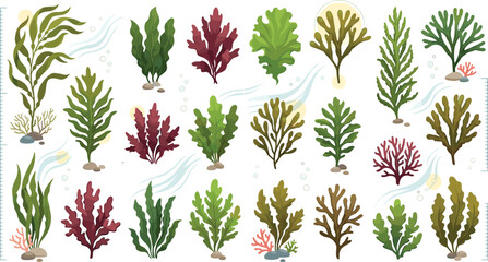 Seaweed and marine algae vector icons set with underwater plants kelp corals and aquatic flora elements collection © MstLaky