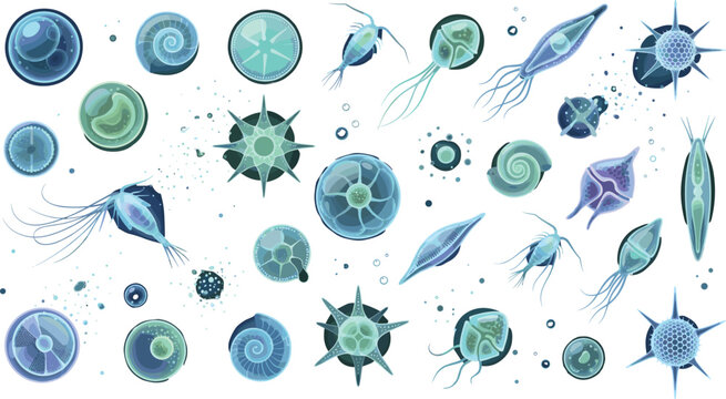 Plankton vector illustration set featuring marine microorganisms copepods diatoms dinoflagellates protozoa and microscopic ocean organisms graphic collection