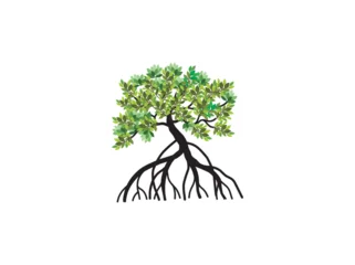 Tree vector illustrations roots mangrove tree vector isolated © Kareemov