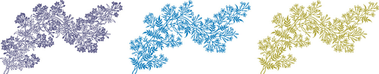 Vintage botanical fern leaf illustrations, set of 3 decorative foliage vectors, antique style floral branch elements in blue and gold isolated on White Background © noor