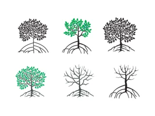 Set of mangrove tree collection with roots and green leaves, isolated on white background, Mangrove Plant Tree for Garden Park Conservation, vector illustration. © Kareemov