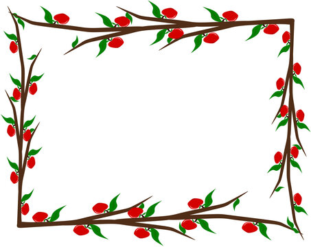 Red apple fruit branches full frame border isolated on transparent background with copy space