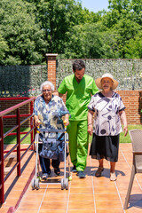Obraz premium Professional caregiver supporting senior women with a walker during an outdoor stroll, promoting health and independence