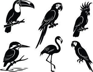 Collection of tropical bird silhouettes including toucan parrot flamingo cockatoo and kingfisher isolated on white background © MstShapla