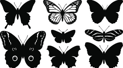 Collection of butterfly silhouettes and detailed monochrome insect wing illustrations isolated on white background for nature design © MstShapla