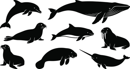 Collection of marine mammal silhouettes featuring whale dolphin seal walrus narwhal and manatee isolated on white background © MstShapla