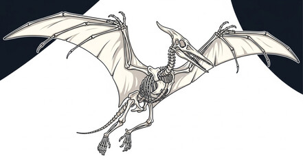 Detailed Pterodactyl Skeleton Flying Illustration. © Hasyim