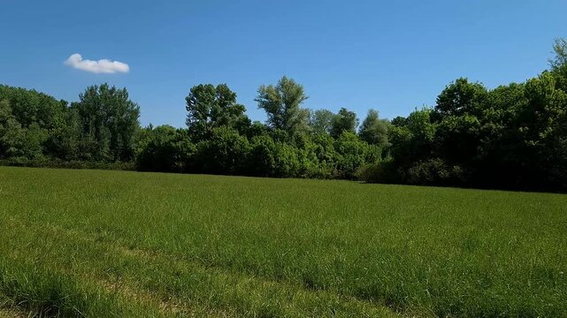 Meadow near the Tisza river in Martely