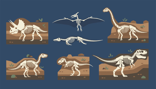 Prehistoric dinosaur skeleton fossils collection displayed on a dark background as museum exhibits.