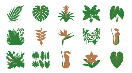 Collection of various tropical leaf types. © beatrice