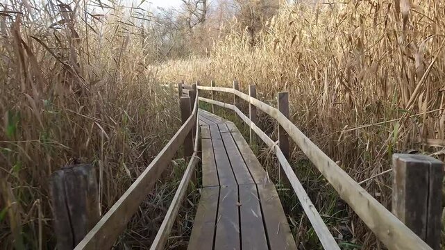 Pank bridge as a nature trail in Martely forest