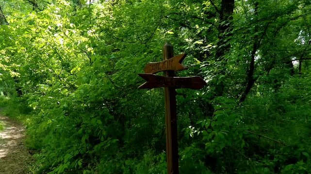 Nature trail in Martely forest