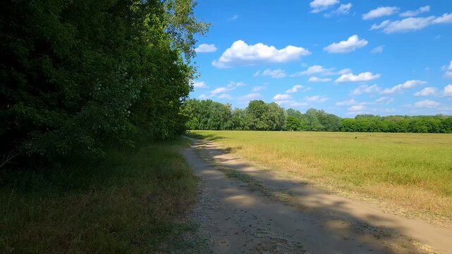 Meadow in Martely